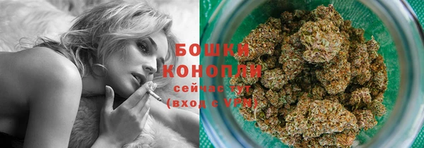 твердый Надым